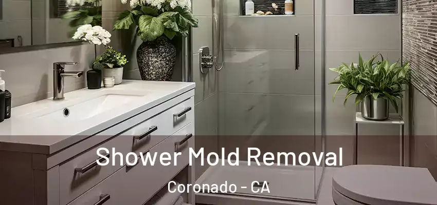 Shower Mold Removal Coronado - CA