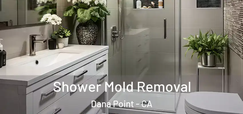 Shower Mold Removal Dana Point - CA