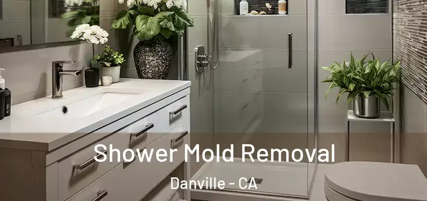Shower Mold Removal Danville - CA