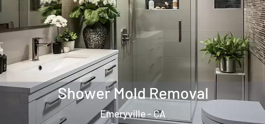  Shower Mold Removal Emeryville - CA