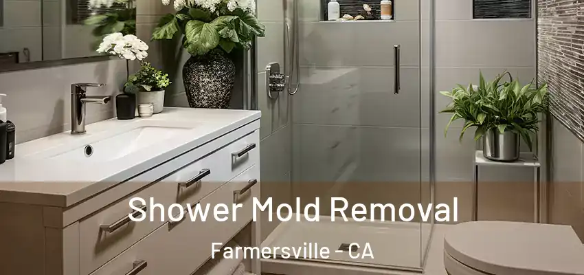  Shower Mold Removal Farmersville - CA