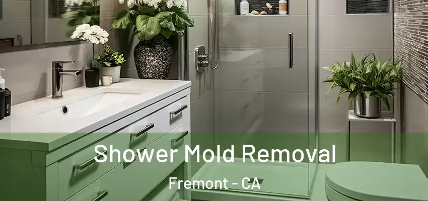  Shower Mold Removal Fremont - CA