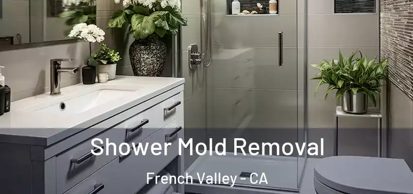  Shower Mold Removal French Valley - CA