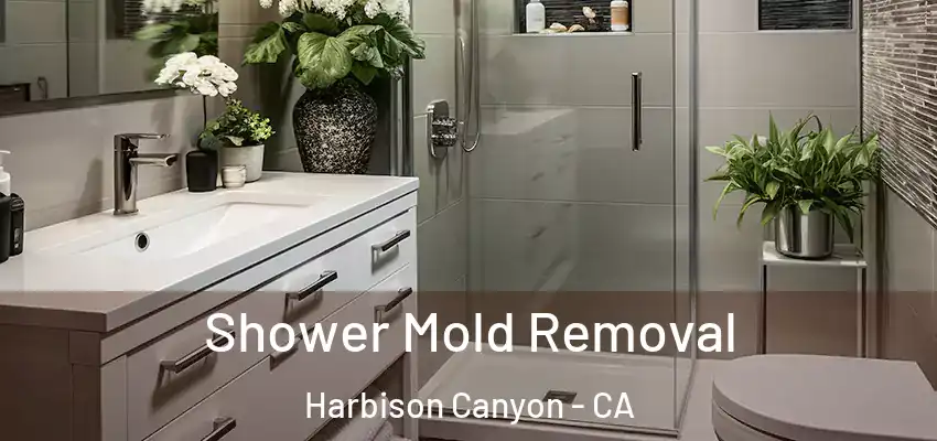  Shower Mold Removal Harbison Canyon - CA