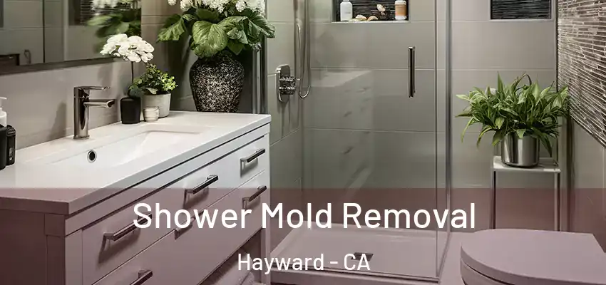 Shower Mold Removal Hayward - CA
