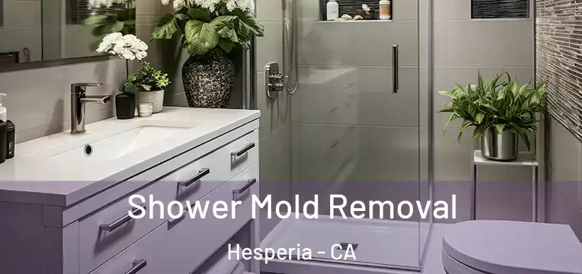 Shower Mold Removal Hesperia - CA