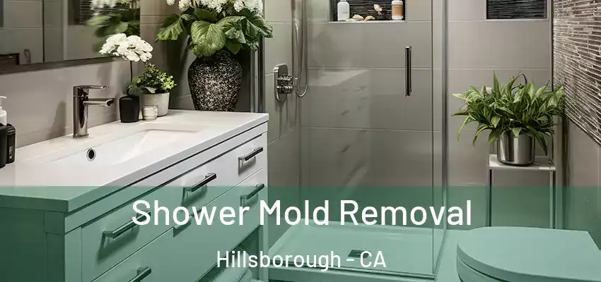 Shower Mold Removal Hillsborough - CA