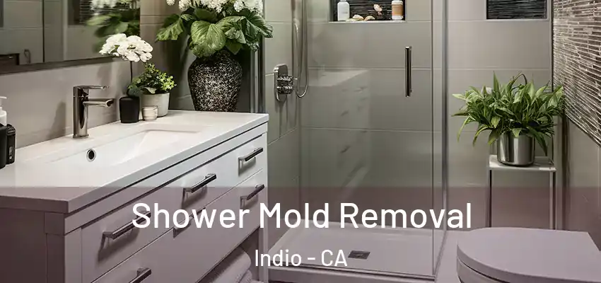  Shower Mold Removal Indio - CA