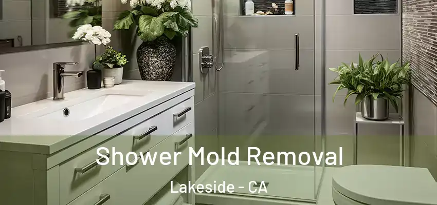 Shower Mold Removal Lakeside - CA