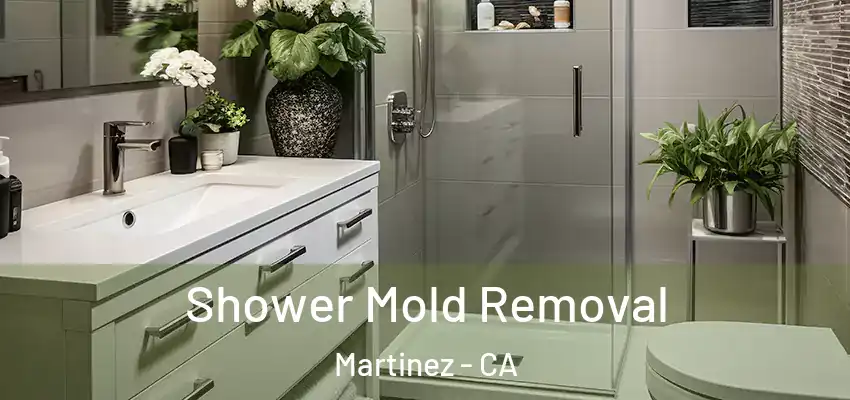  Shower Mold Removal Martinez - CA