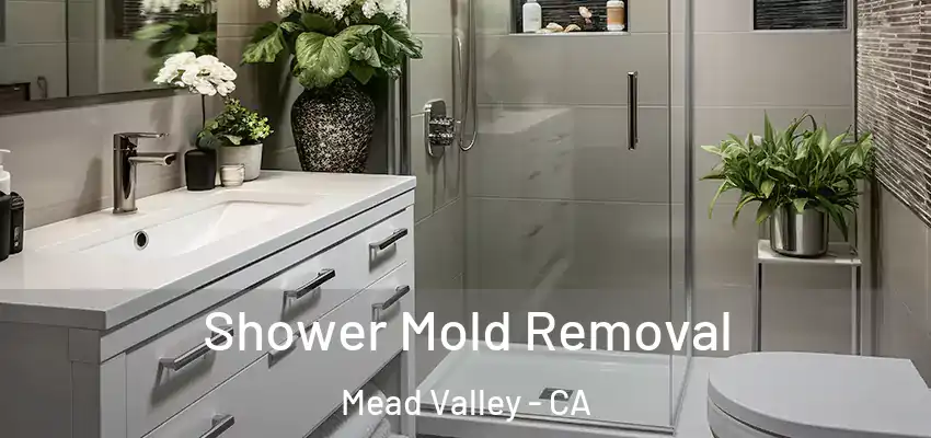  Shower Mold Removal Mead Valley - CA