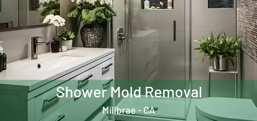  Shower Mold Removal Millbrae - CA