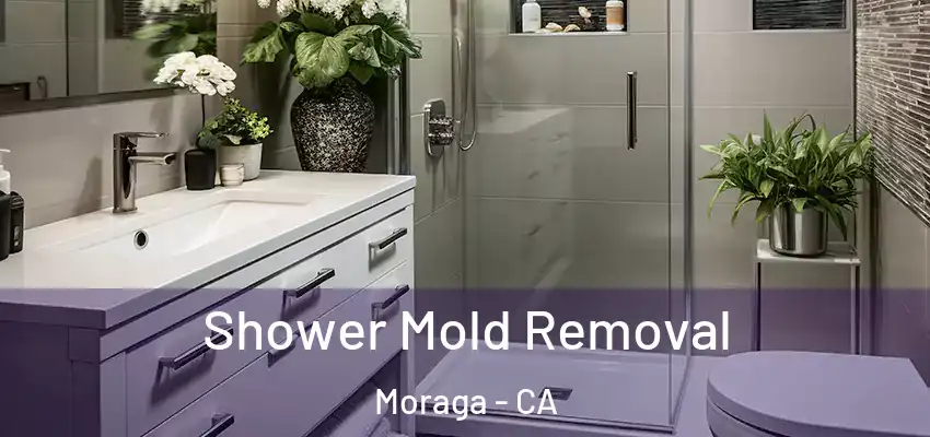 Shower Mold Removal Moraga - CA