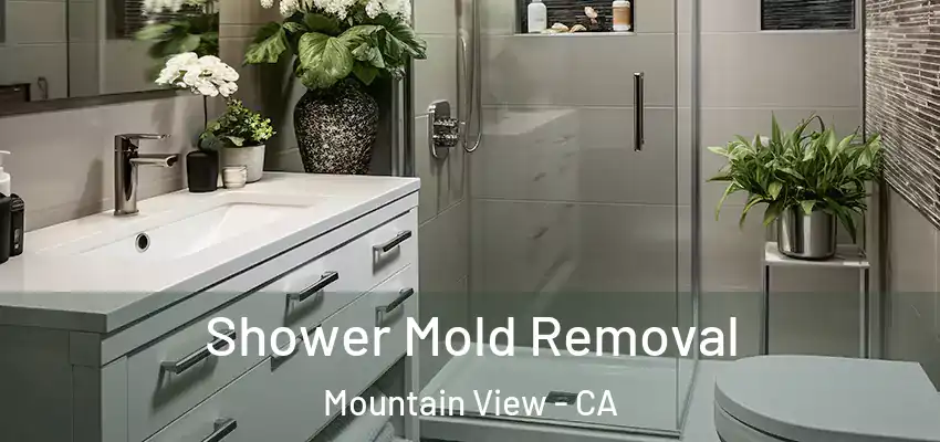  Shower Mold Removal Mountain View - CA