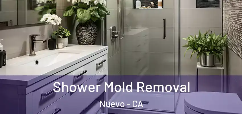 Shower Mold Removal Nuevo - CA