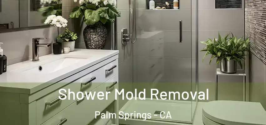  Shower Mold Removal Palm Springs - CA