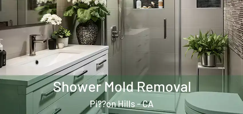 Shower Mold Removal Pi??on Hills - CA