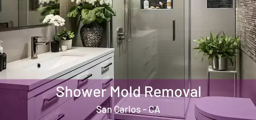  Shower Mold Removal San Carlos - CA
