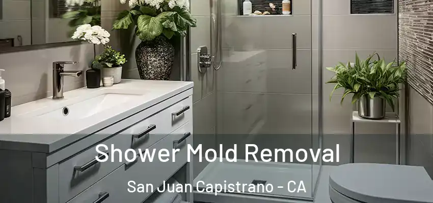  Shower Mold Removal San Juan Capistrano - CA