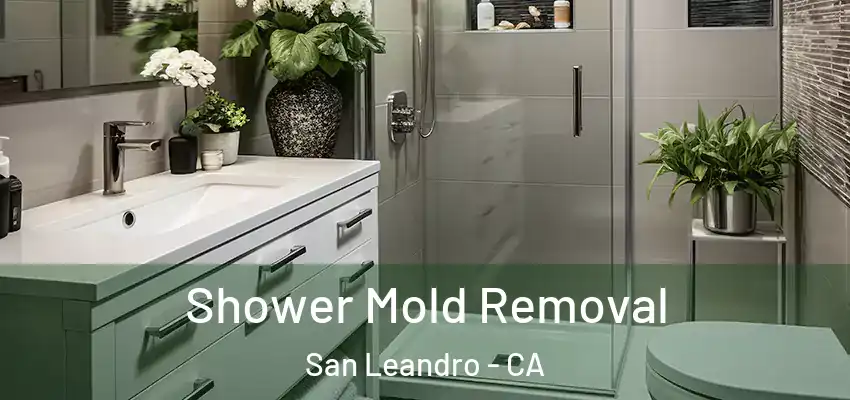  Shower Mold Removal San Leandro - CA