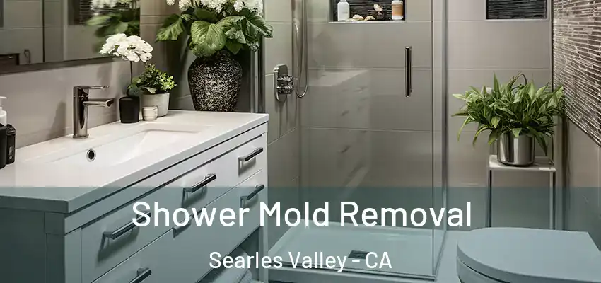 Shower Mold Removal Searles Valley - CA