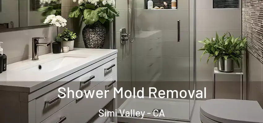  Shower Mold Removal Simi Valley - CA