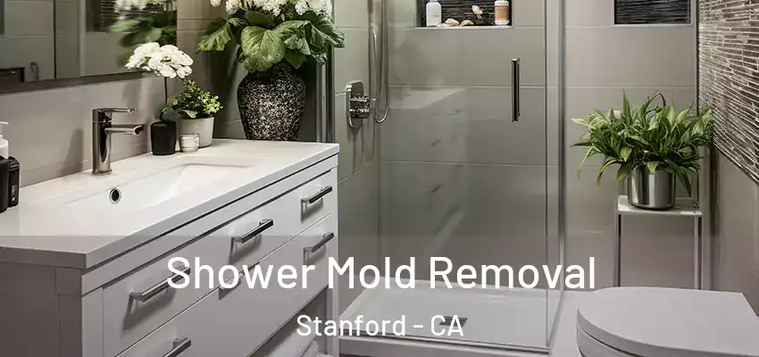 Shower Mold Removal Stanford - CA