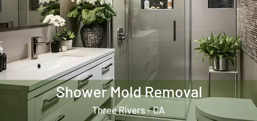 Shower Mold Removal Three Rivers - CA