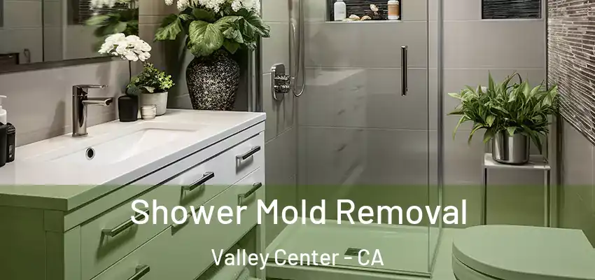  Shower Mold Removal Valley Center - CA