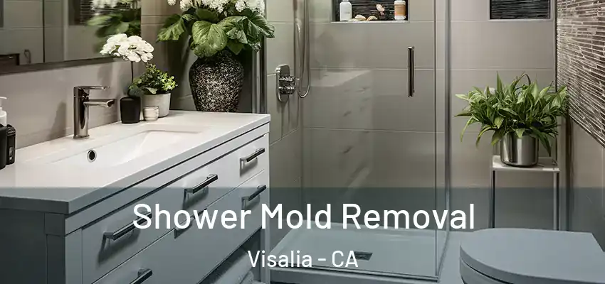 Shower Mold Removal Visalia - CA